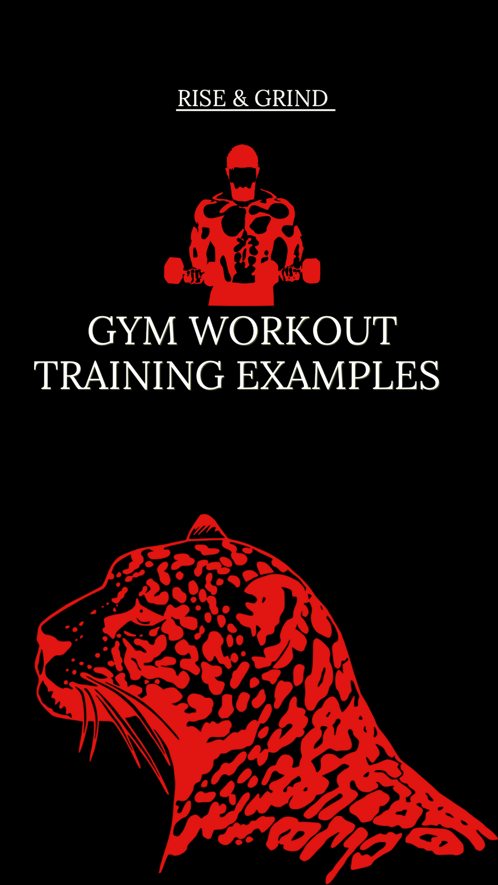 Fitness Guide-Complete Workout