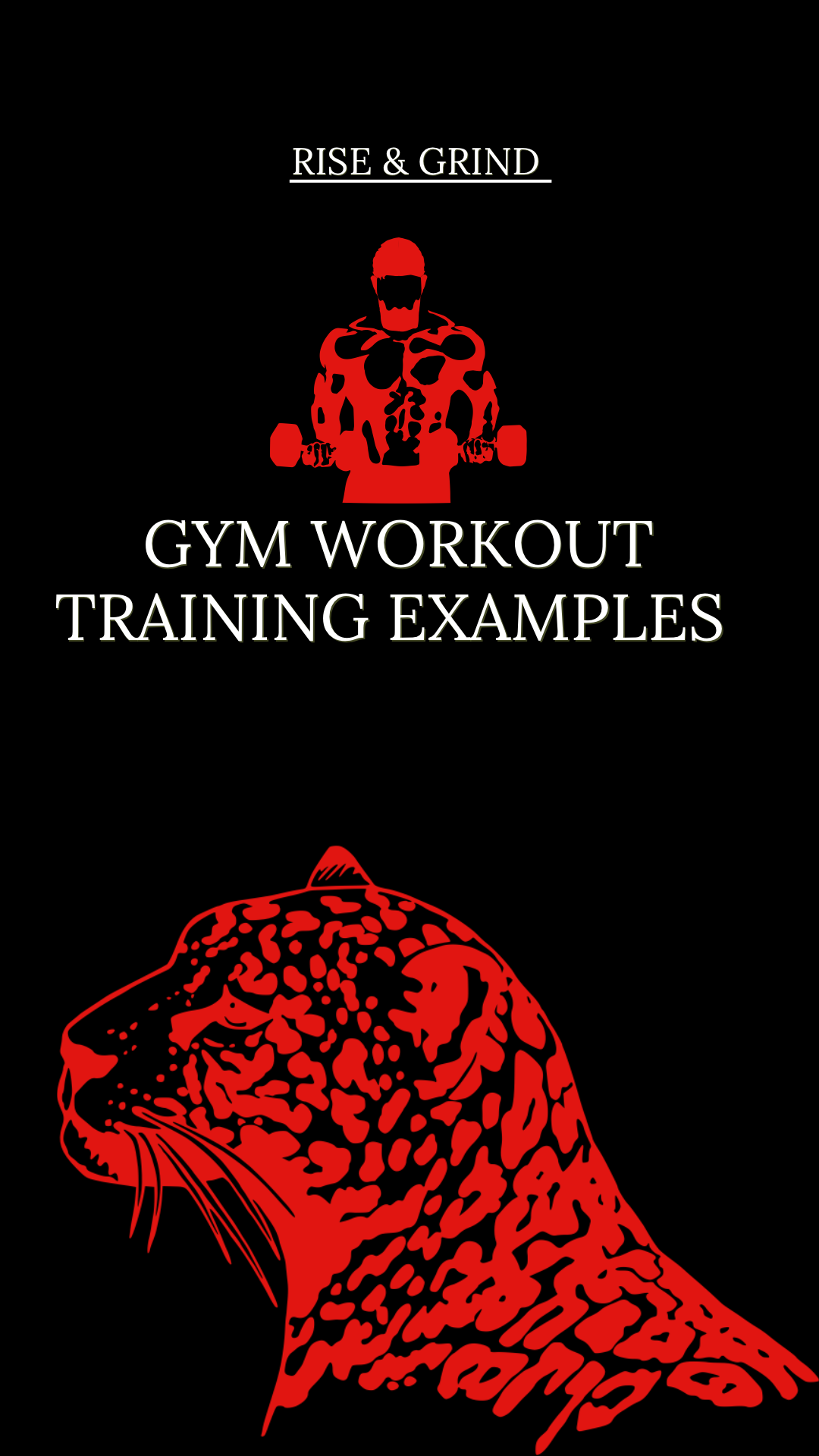Fitness Guide-Complete Workout